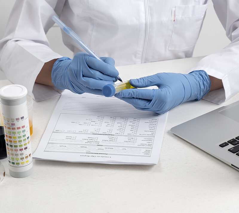 Raporlama ve ruhsatlama